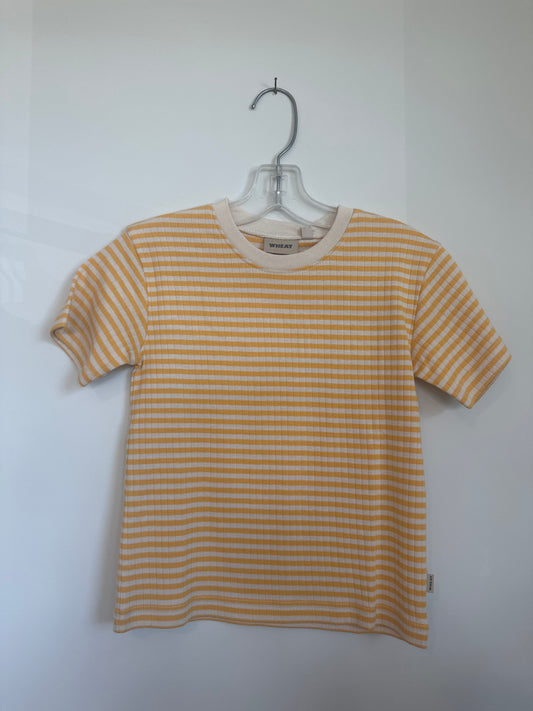 Wheat 4t